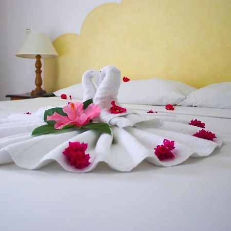 Van Villa Guesthouse 内格里尔 外观 照片