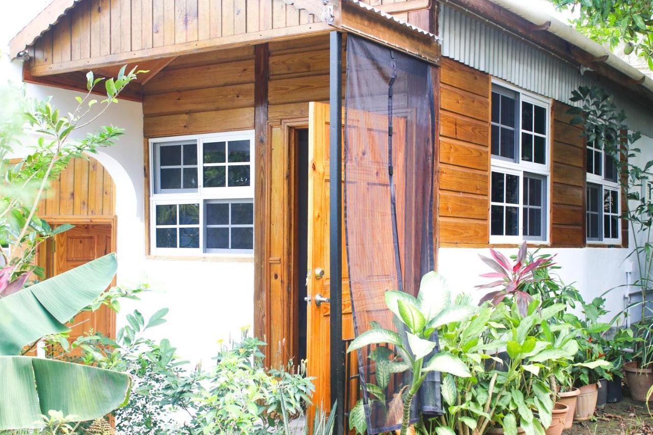 Van Villa Guesthouse 内格里尔 外观 照片